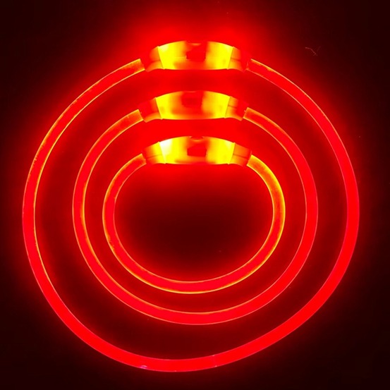 Collier lumineux rechargeable pour chien taille s rouge : 30 cm de circonférence