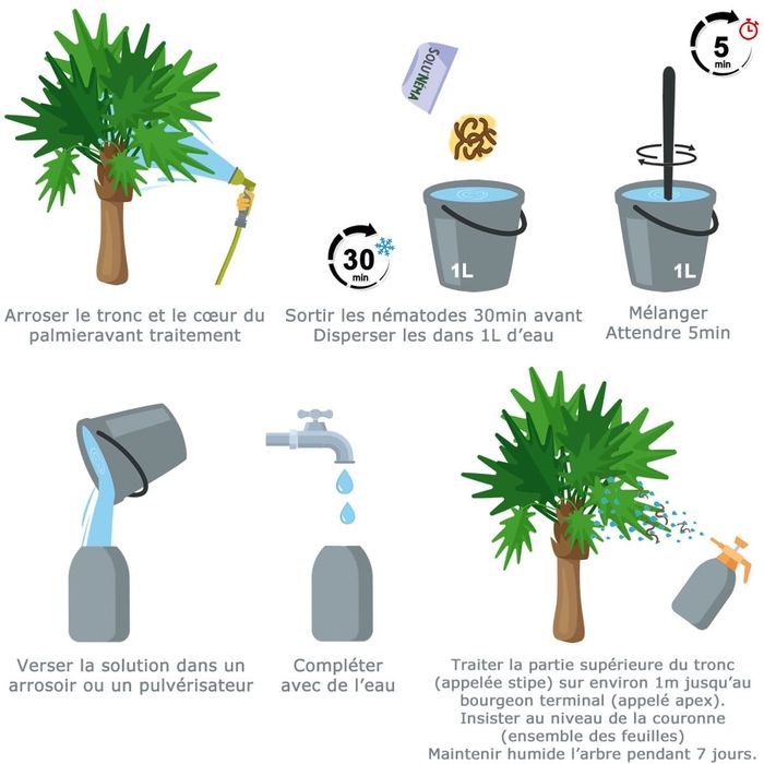 SOLUNEMA - 25 Millions De Nématodes Steinernema Feltiae Contre Le Tigre Du Platane - Traitement Bio Efficace Pour 1 à 3 Arbres