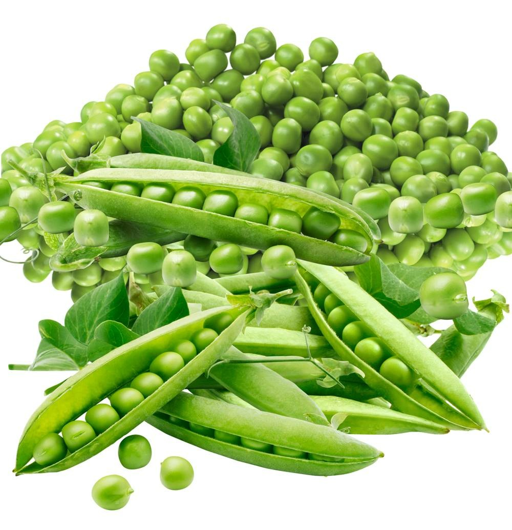 Pois precovil - 150 g