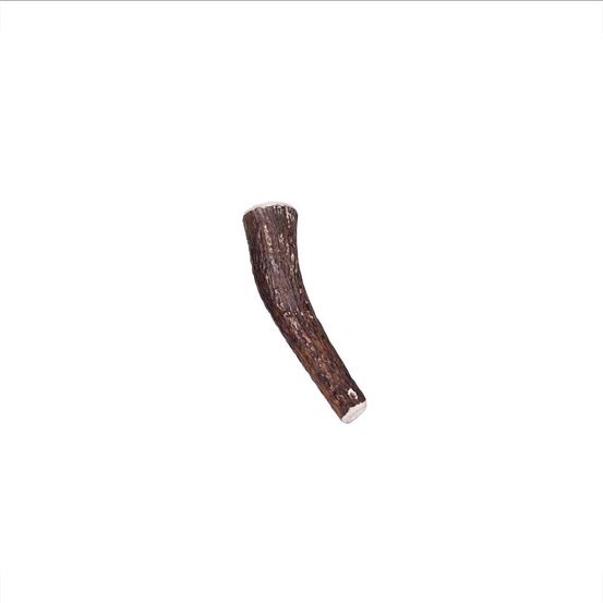 Bois cerf entier - mastications pour chiens