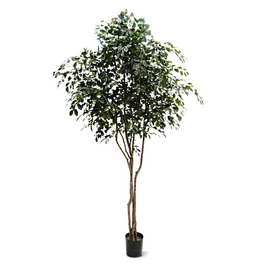 Ficus exotica arbre artificiel de 330 cm