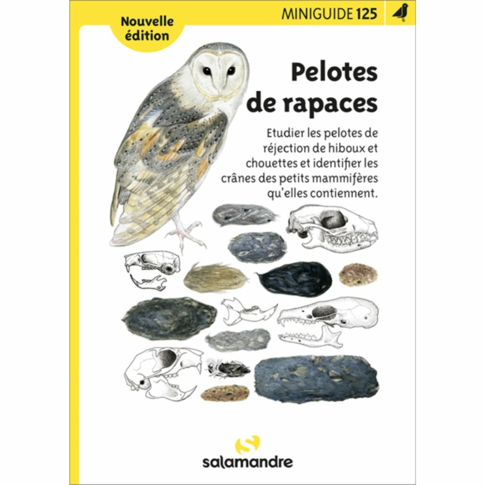 Miniguide 125 - pelotes de rapaces