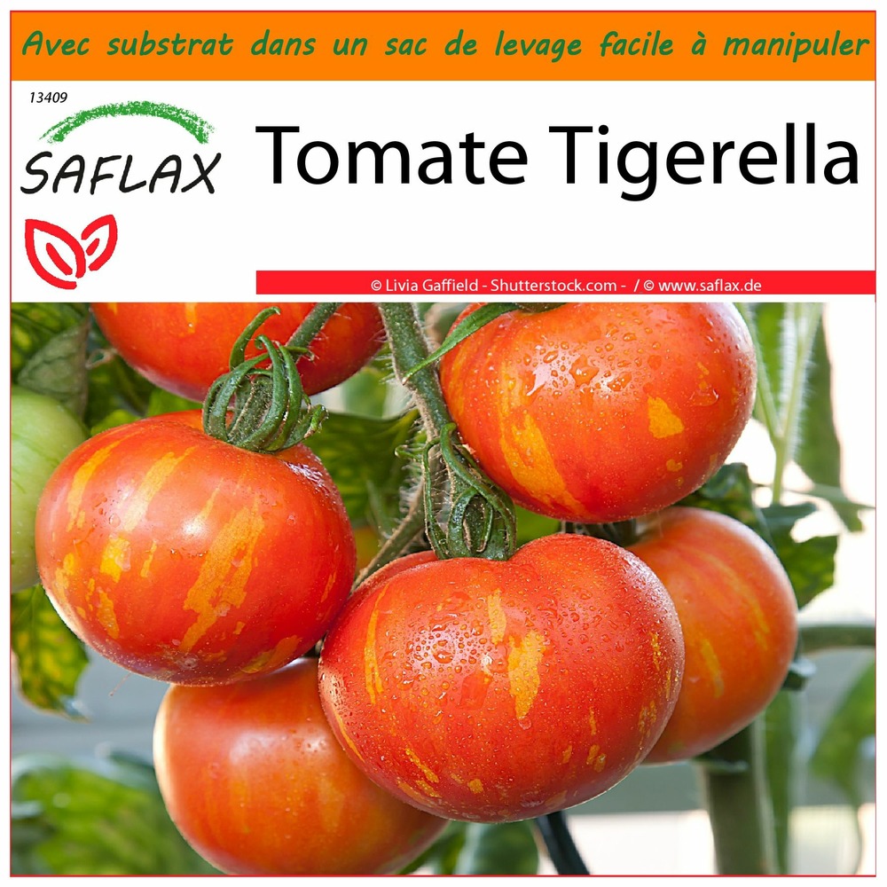 Garden in the bag - tomate tigerella - 10 graines - lycopersicon esculentum