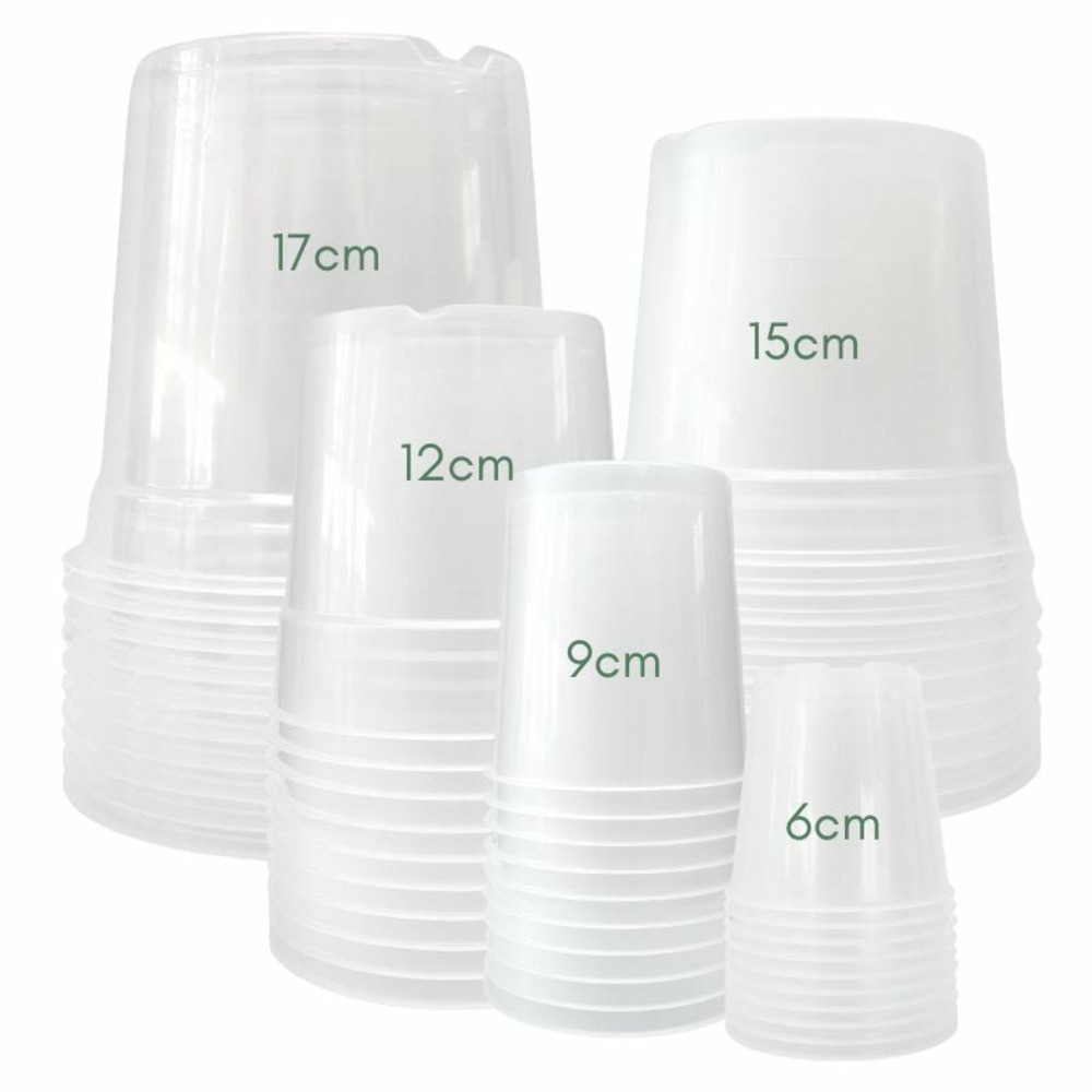 Pack x50 pots transparents spécial plant addict - pots seuls
