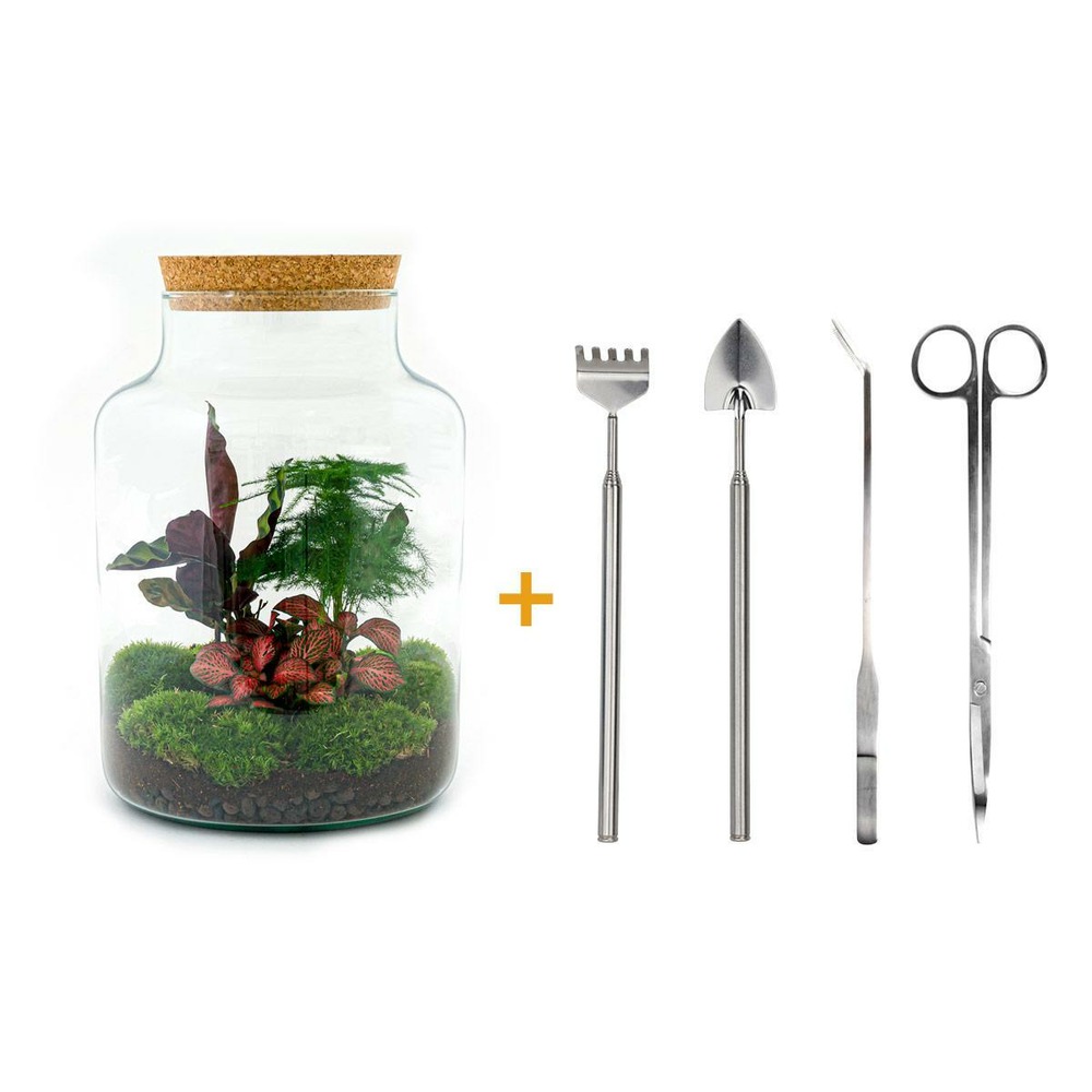 Diy terrarium - h30 cm - ø30 cm