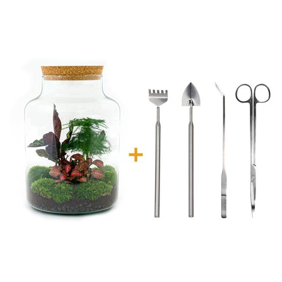 Diy terrarium - h30 cm - ø30 cm