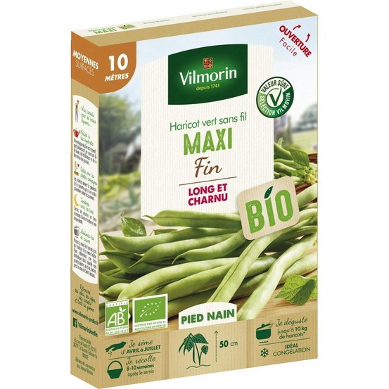 Graines de haricot vert sans fil maxi 10 mètres