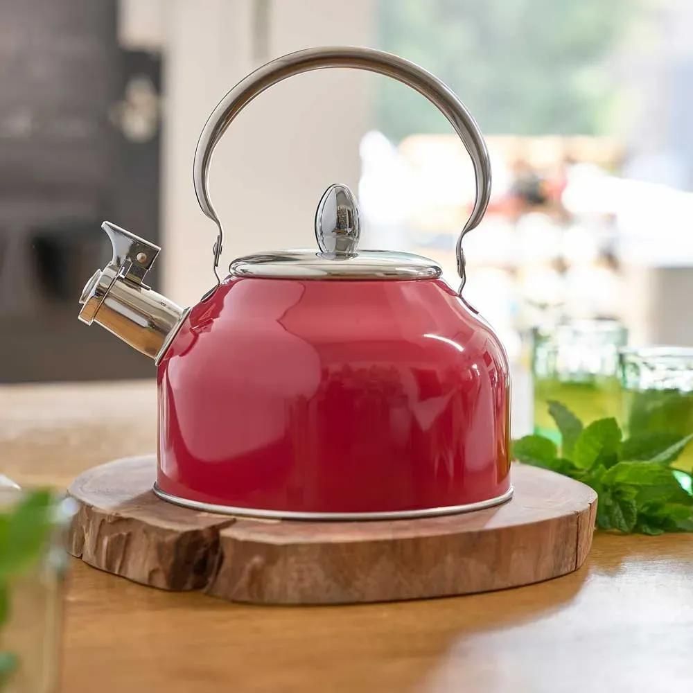 Bouilloire à sifflet 2,5l induction tous feux épaisseur 0,35mm