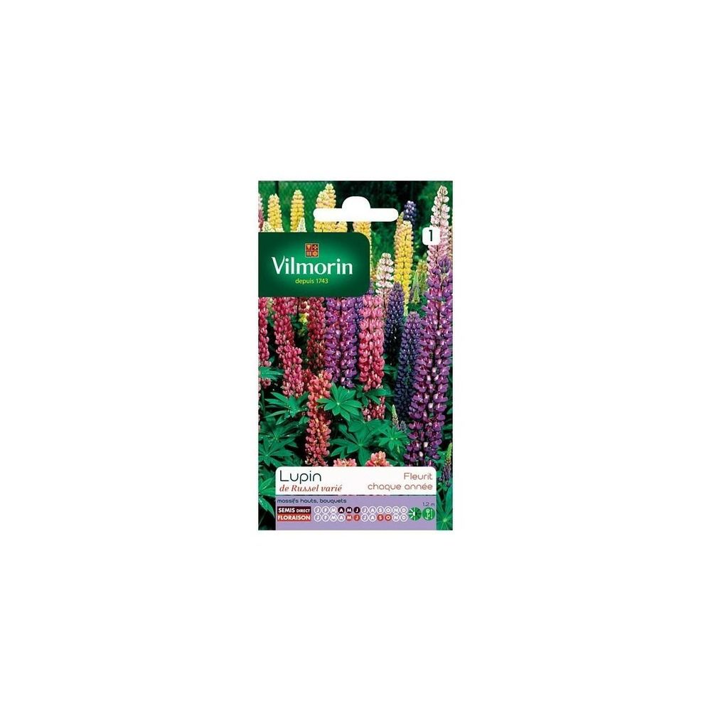 Sachet graines lupin de russel varié