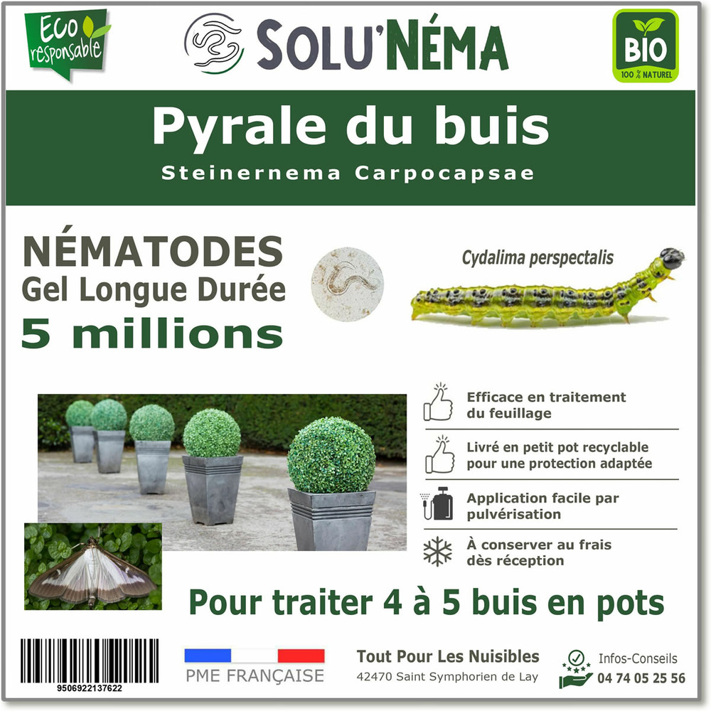 Solunéma - pyrale du buis - nématodes (sc) - 5 millions- 4 à 5 buis en pots