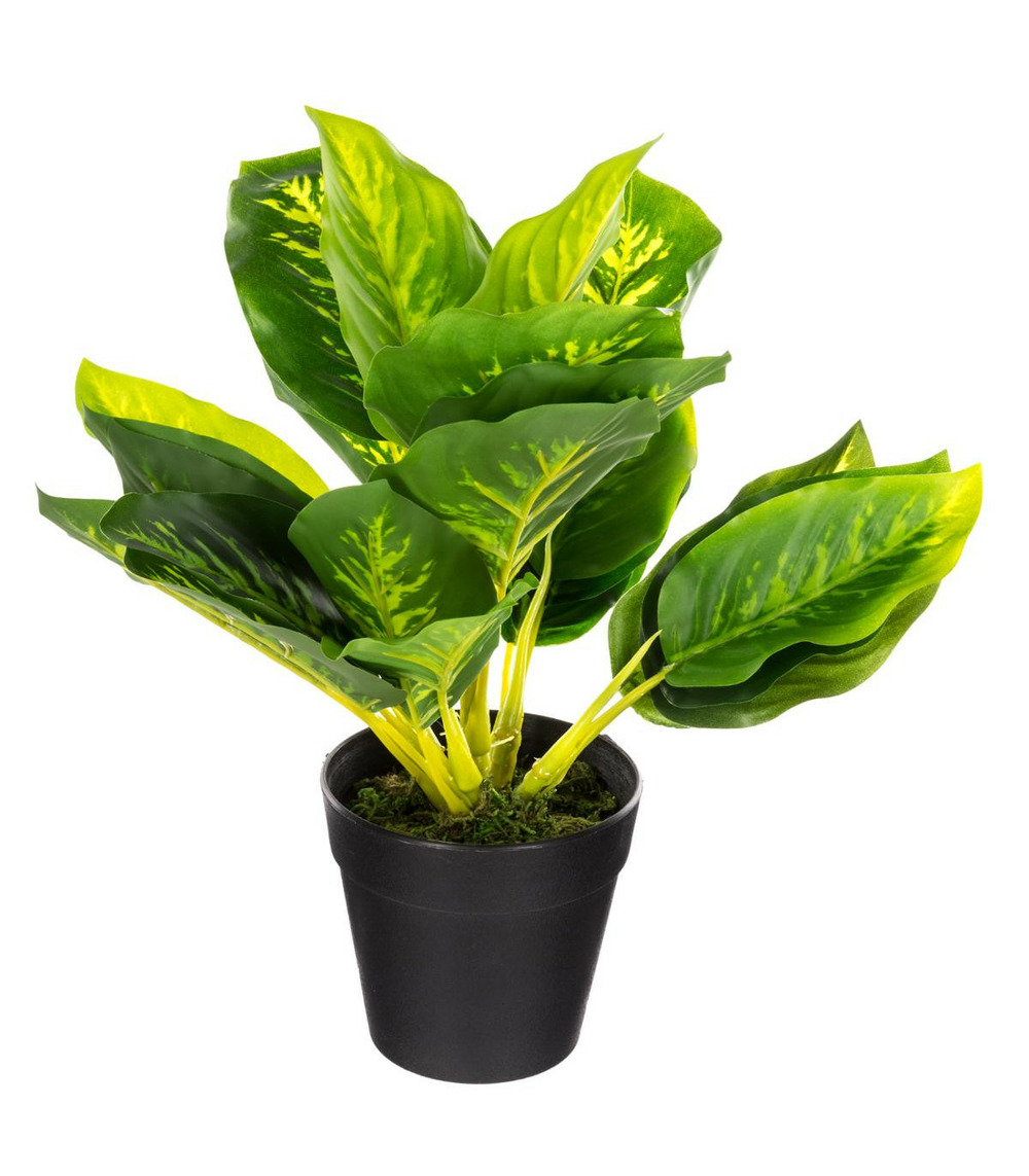 Plante artificielle en pot h 30 cm