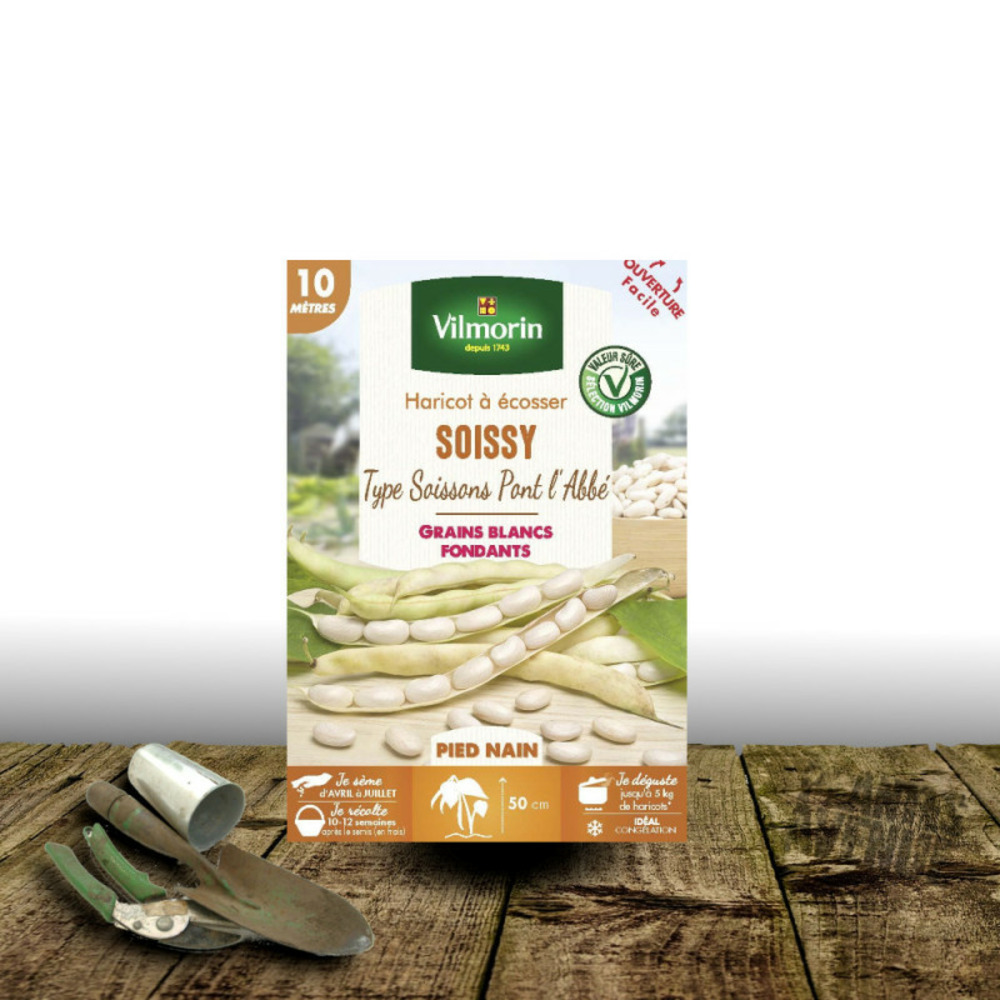 Graines de haricot nain à écosser soissy - vilmorin boite - 10 mètres