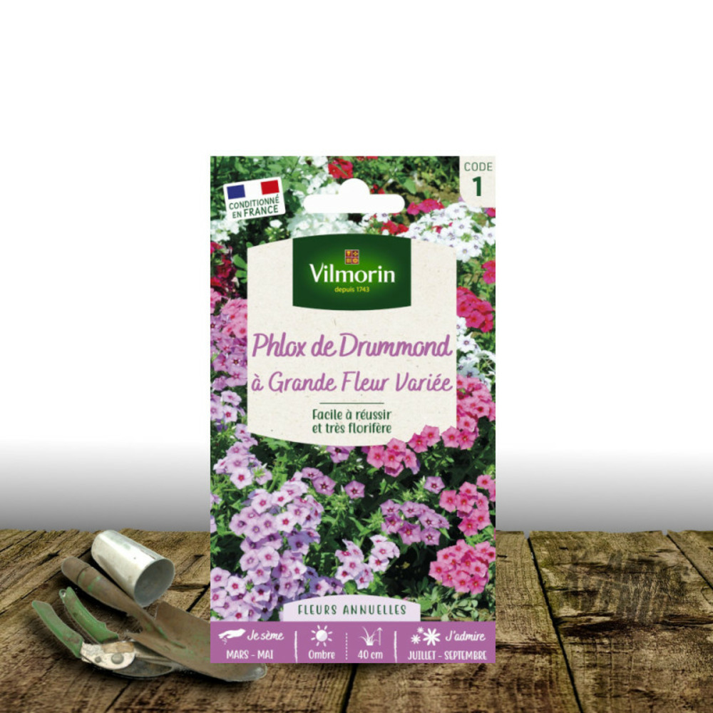 Graines de phlox de drummond à grande fleur variée - vilmorin sachet
