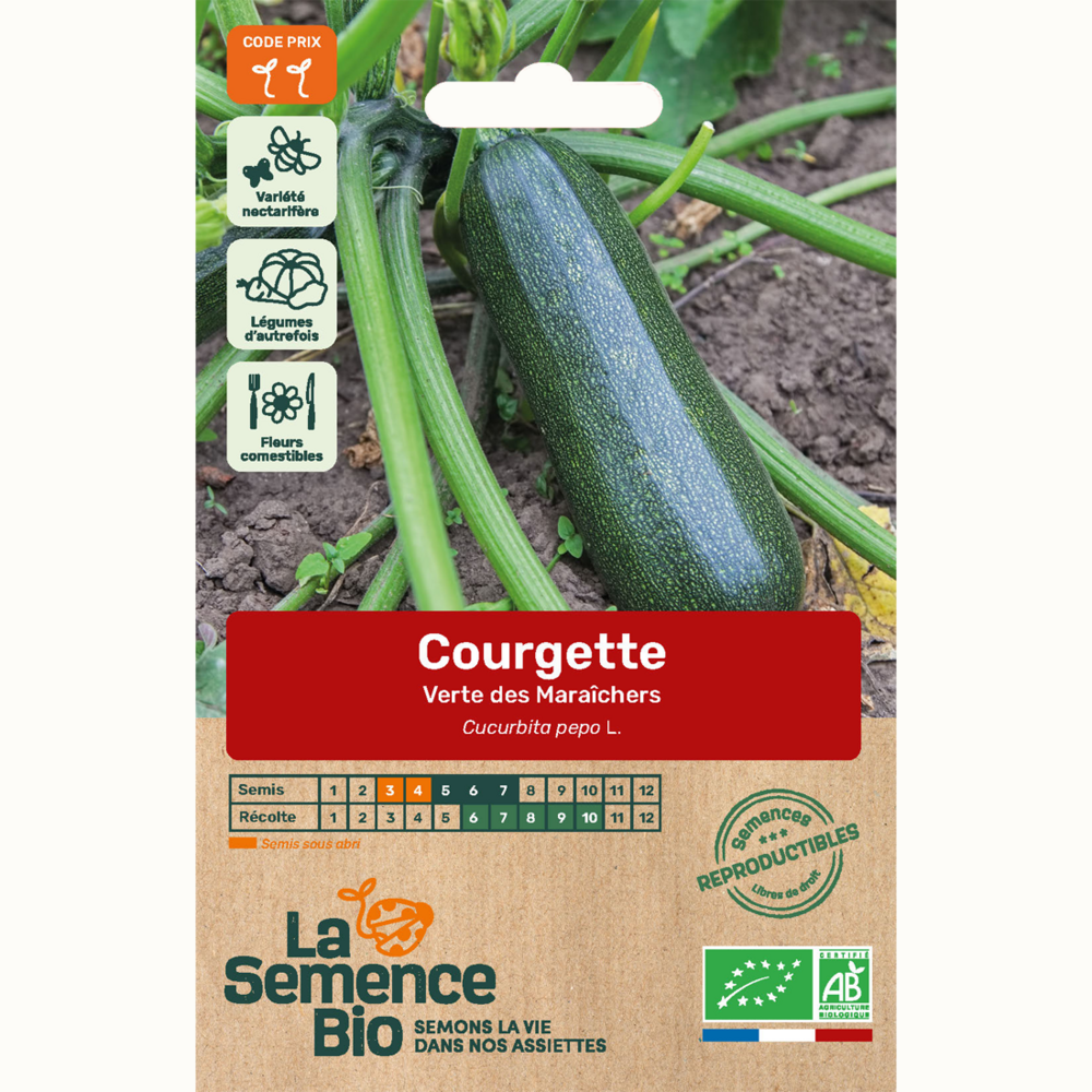 Courgette verte des maraîchers - graines bio