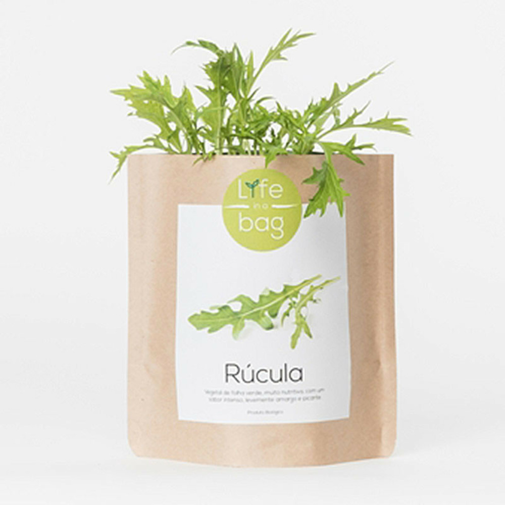 Kit bio prÃªt Ã  pousser Roquette