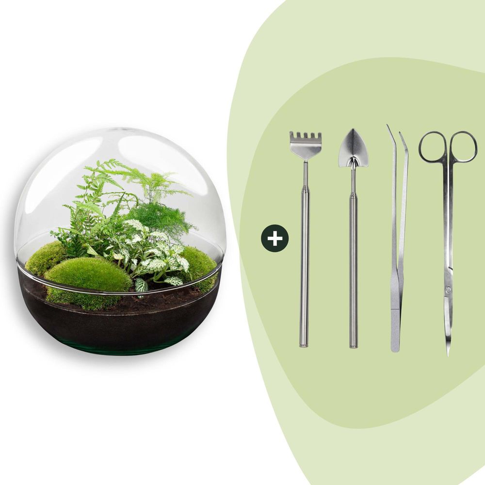 Terrarium à composer boule en verre recyclé - ø30-h30cm - avec kit 4 outils - fern white - terrarium diy