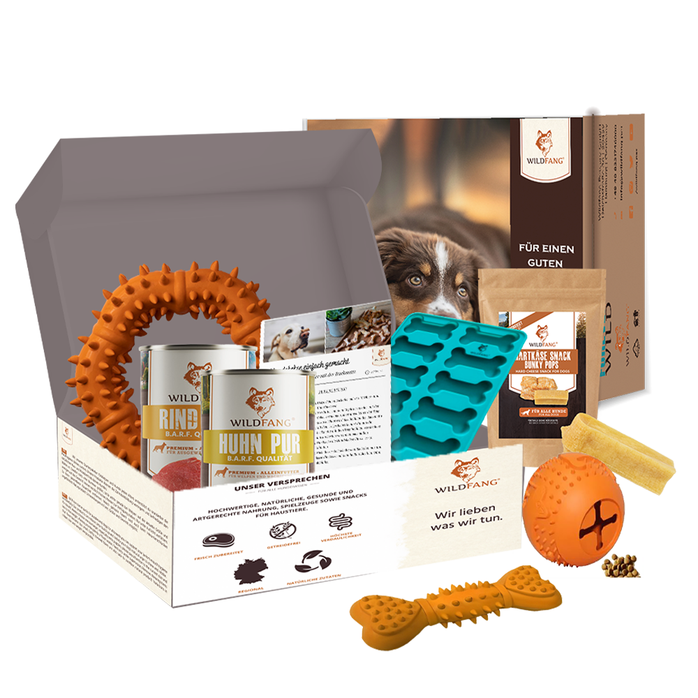 Wildfang - emballage « magic box » - s