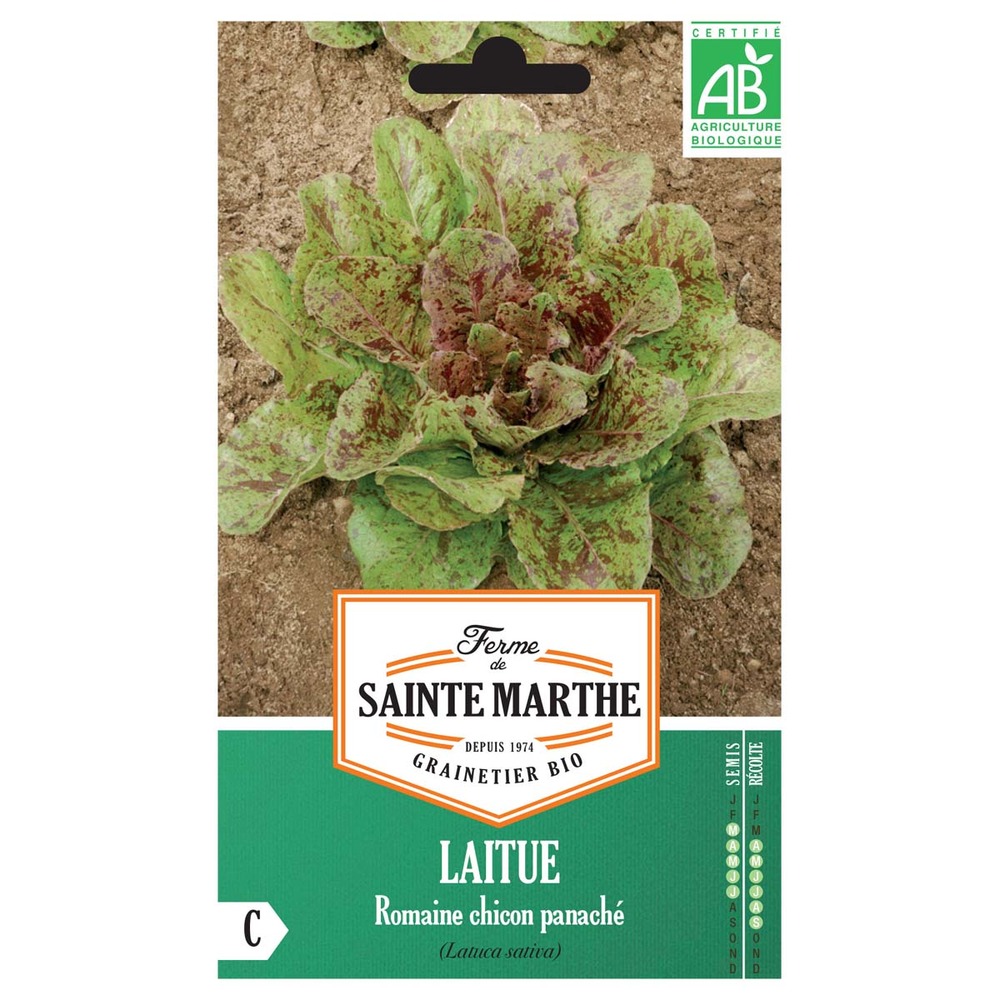 Laitue romaine 'chicon panaché' le sachet de 450 graines environ