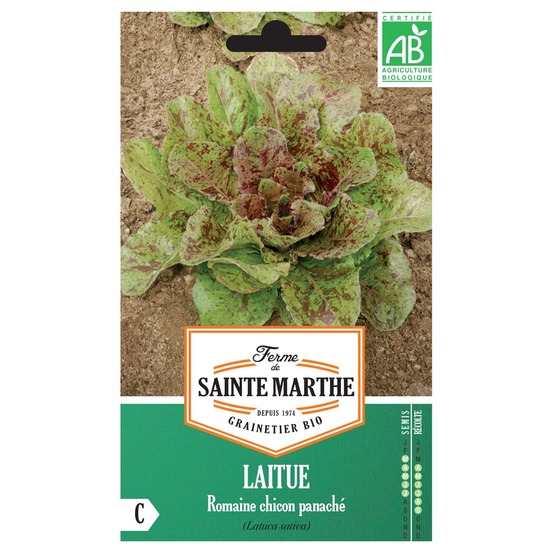 Laitue romaine 'chicon panaché' le sachet de 450 graines environ
