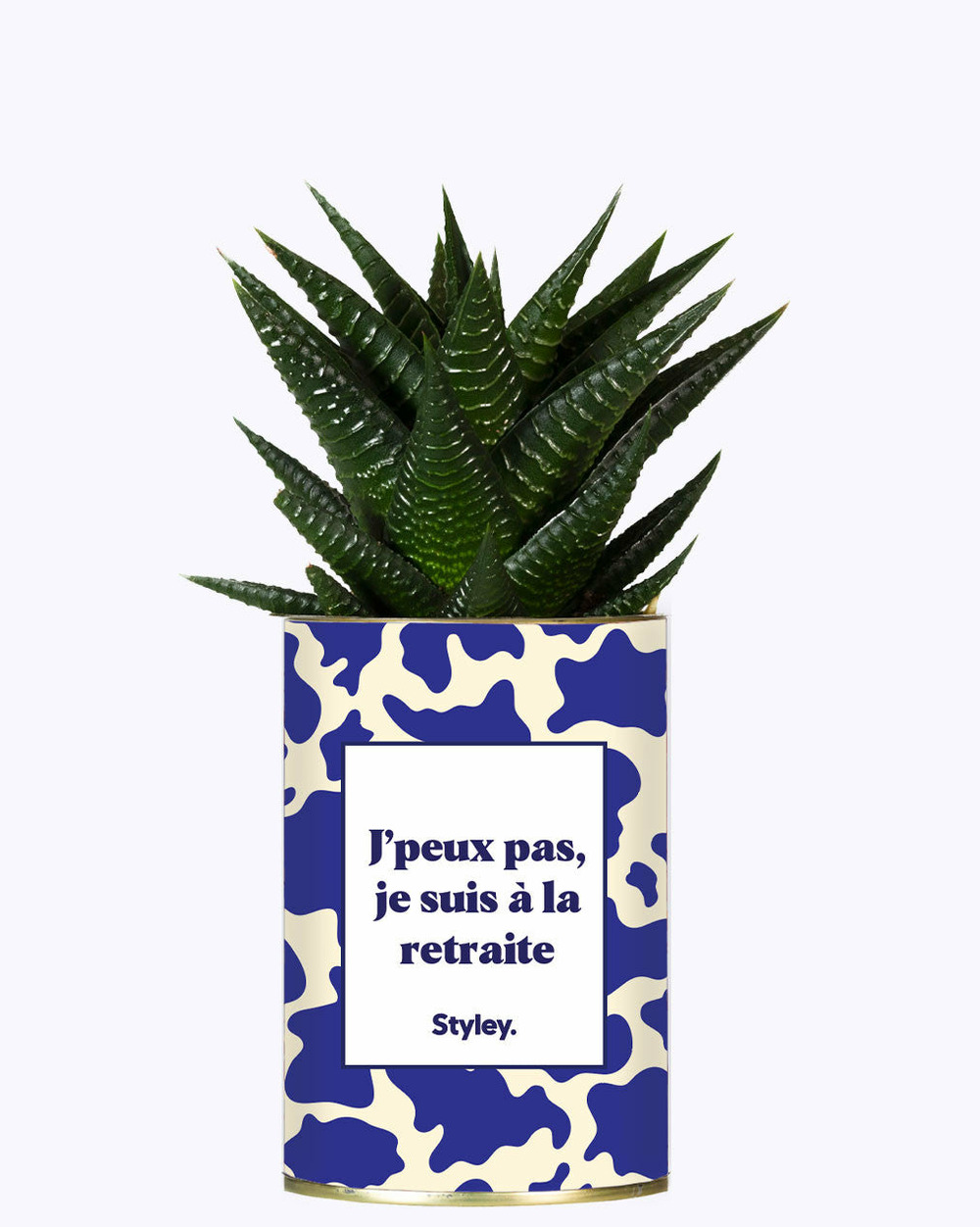 Idée cadeau - j'peux pas, je suis à la retraite - cactus