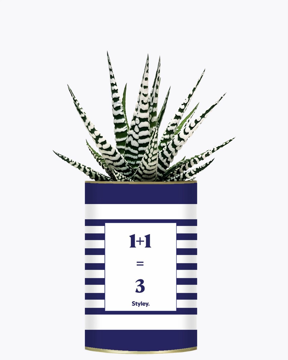 Plante facile à entretenir - 1 plus 1 égal 3 - plante