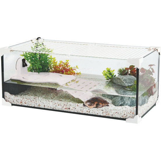 Kit terrarium tortue aquatique karapas pro
