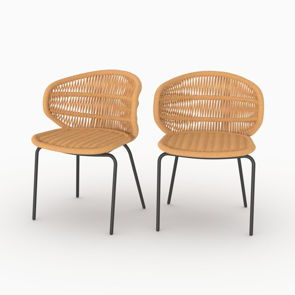 Lara-lot de 2 chaises de jardin en rotin synthétique