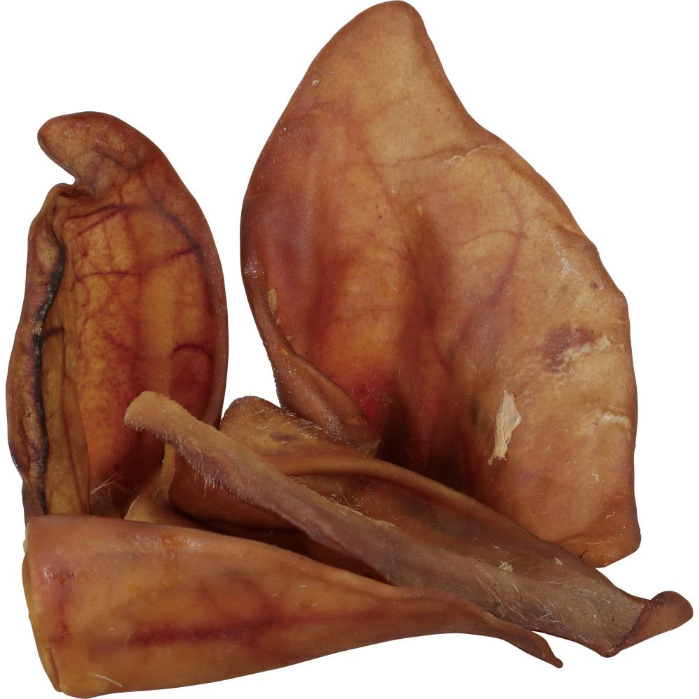 Oreilles De Porc Séchées Pour Chien - Lot De 10, Taille XL, 100% Naturel Sans Additifs - Friandise à Mâcher Longue Durée