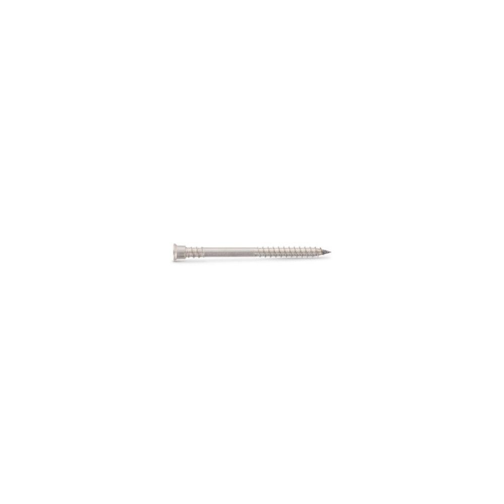 100 vis terrasse inox a4 5,5x60/24 tx25 ' tbs drill | Truffaut