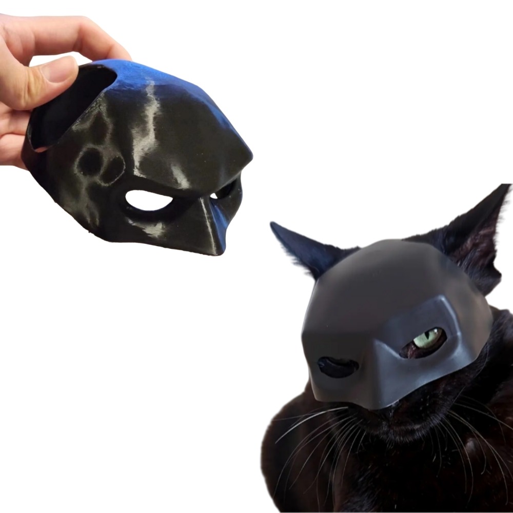 Masque batman pour chat m