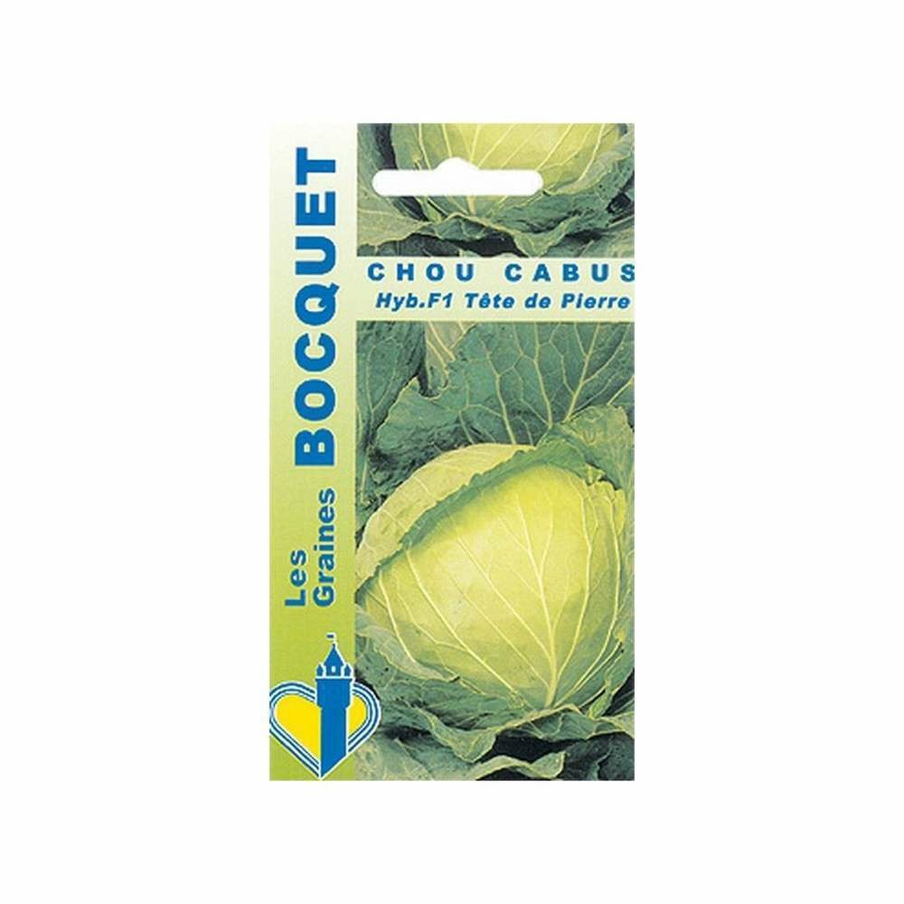 Graines de chou cabus hyb f1 tête de pierre