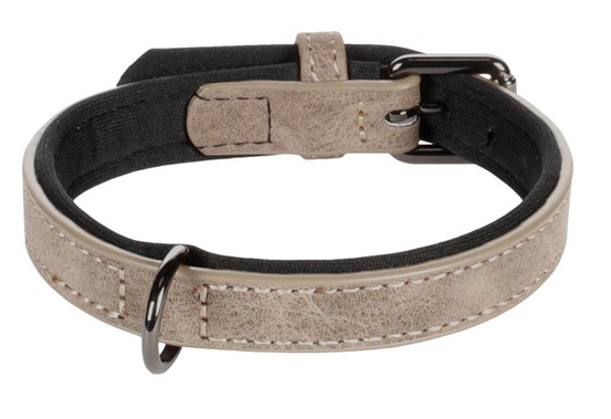 Collier pour chien avec doublure néoprène