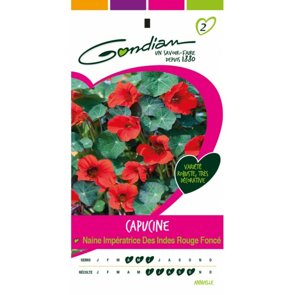 Capucine naine imperatrice des indes rouge foncé
