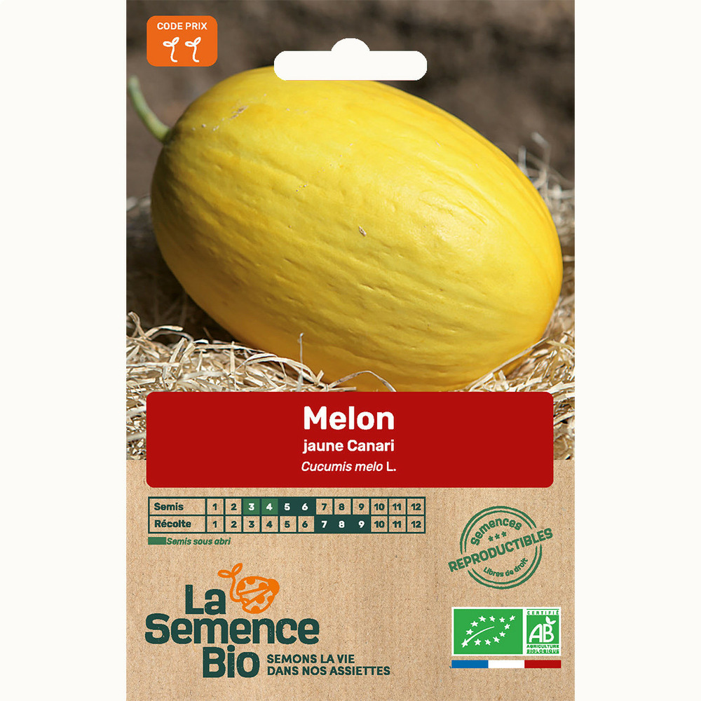 Melon jaune canari hâtif 3 - graines bio