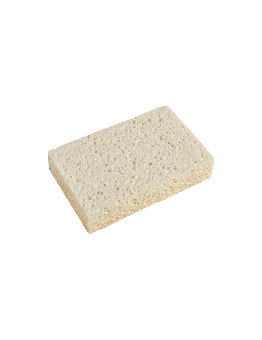 Sachet de 10 éponges azella