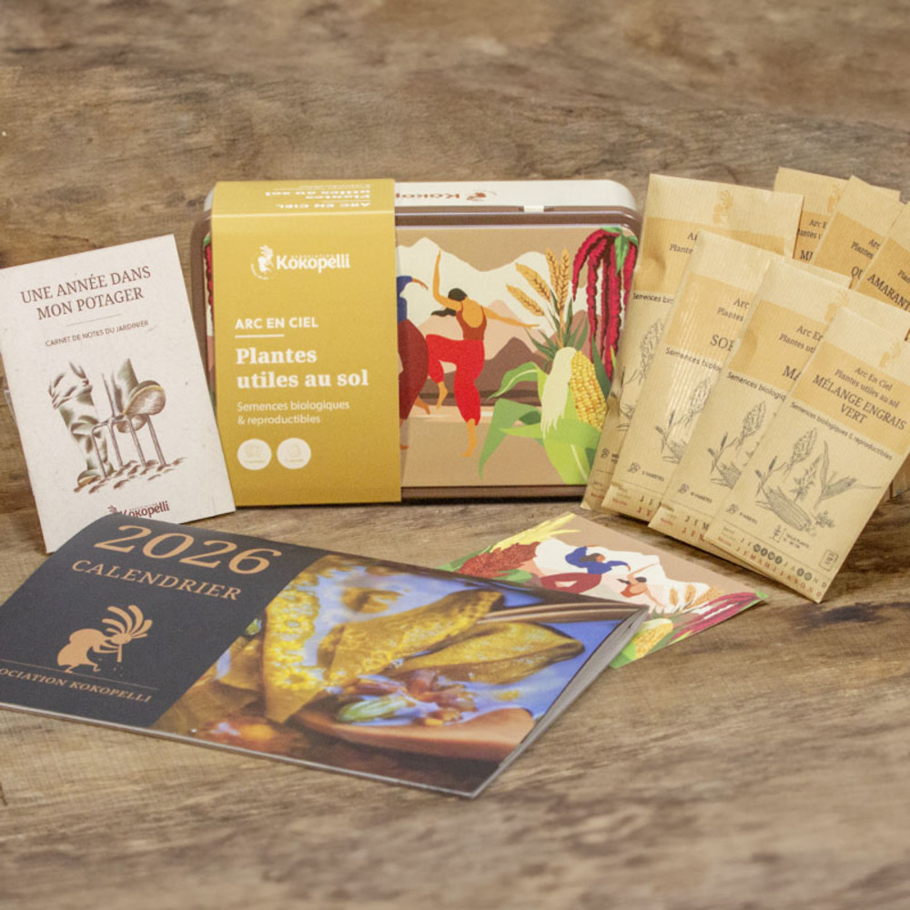 Graines bio à semer - mélange de graines arc en ciel bio - plantes utiles au sol