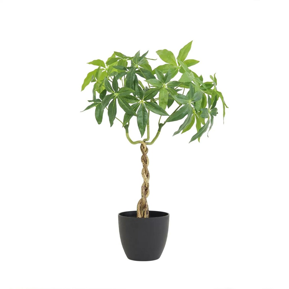 Plante artificielle pachira 60cm