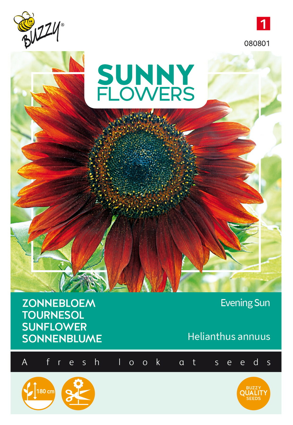 Buzzy sunny flowers, tournesol evening sun - ca. 4 gr (livraison gratuite)
