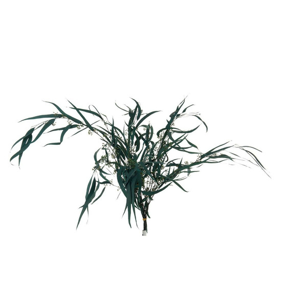 Bouquet d'eucalyptus