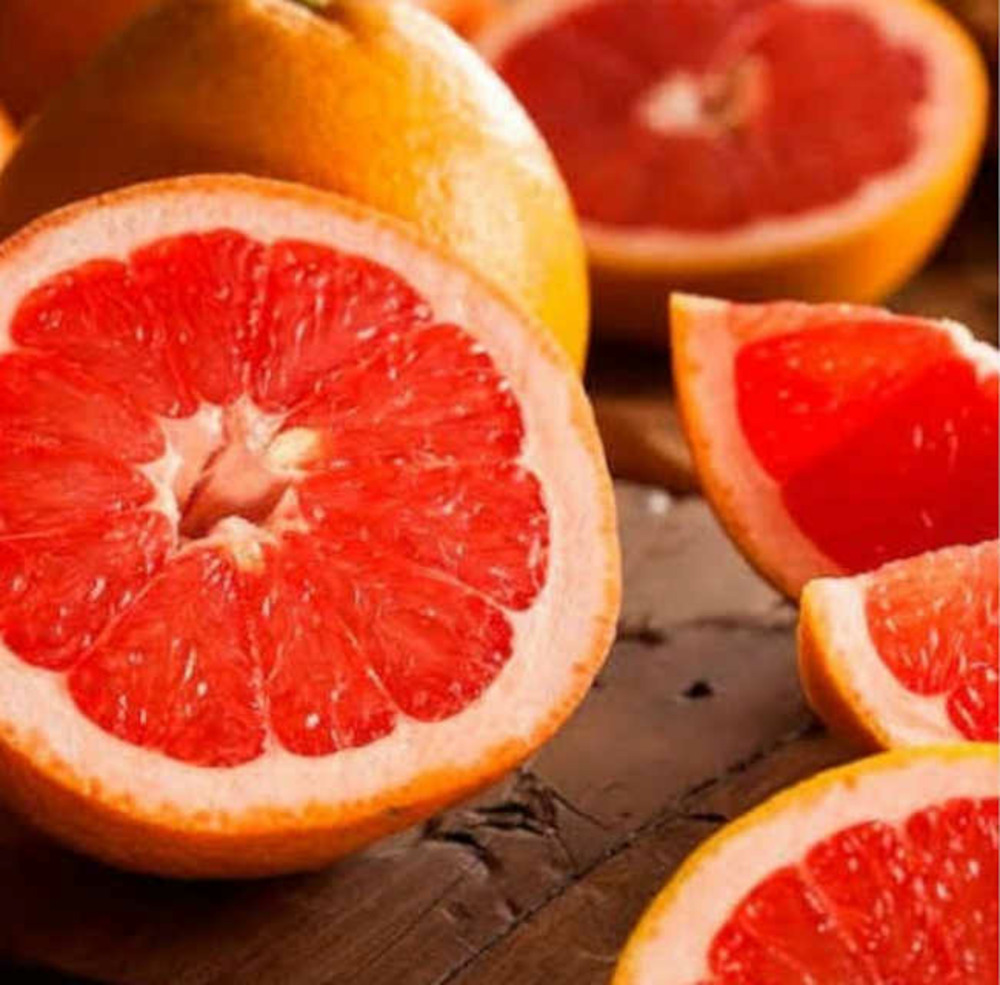 Agrumes citrus x paradisii var. Star ruby (pamplemoussier rose) pot de 10 litres ? 140/160 cm