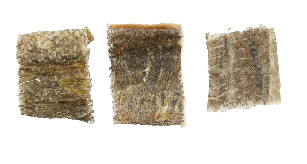 Friandises nature peau de cabillaud court