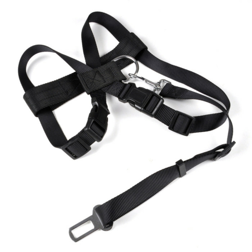 Harnais de sécurité pour animaux 