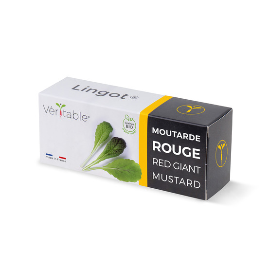 Lingot moutarde rouge bio - recharge prête à l'emploi