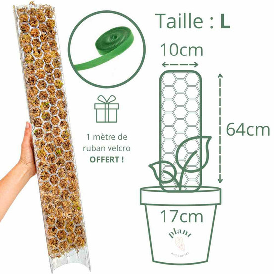Pack x3 tuteur transparent pour plante + 1m ruban velcro offert - support pour plantes grimpantes - x3 taille l