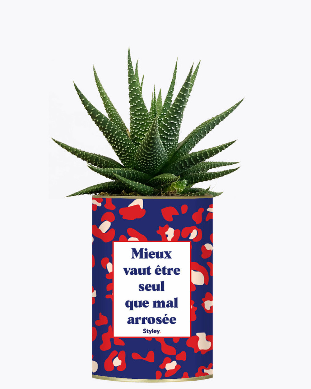 Plante personnalisée - mieux vaut être seule que mal arrosée - cactus