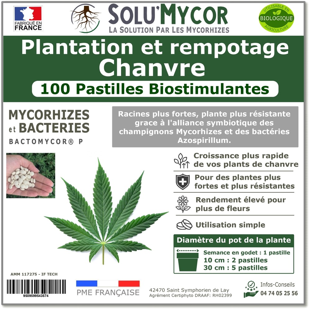 Solumycor 100 pastilles biostimulantes chanvre ideal pour semis et plantation mycorhizes et bacteries azospirillum