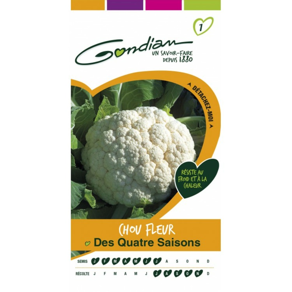 Chou fleur des quatre saison