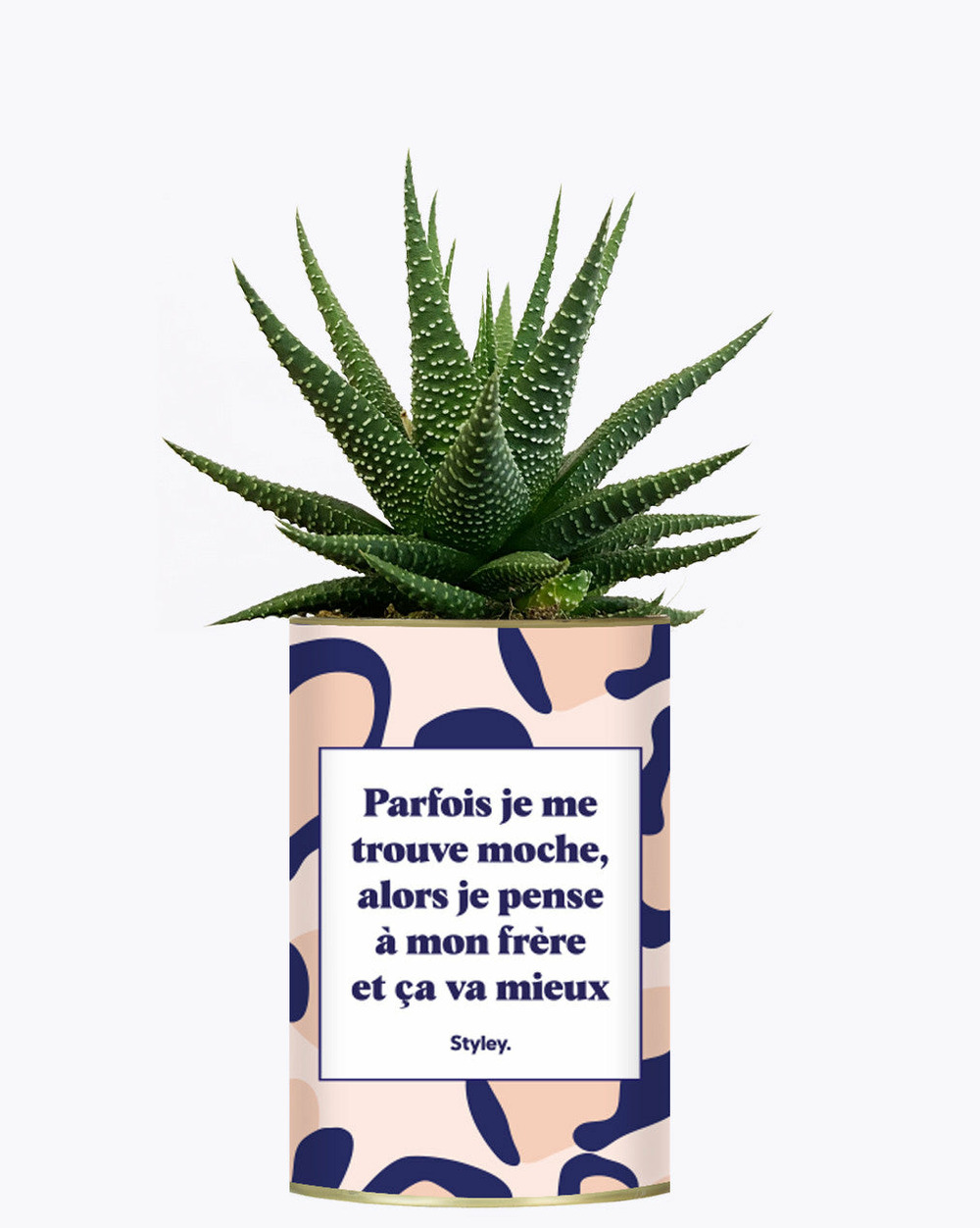 Plante personnalisée - frère moche - cactus