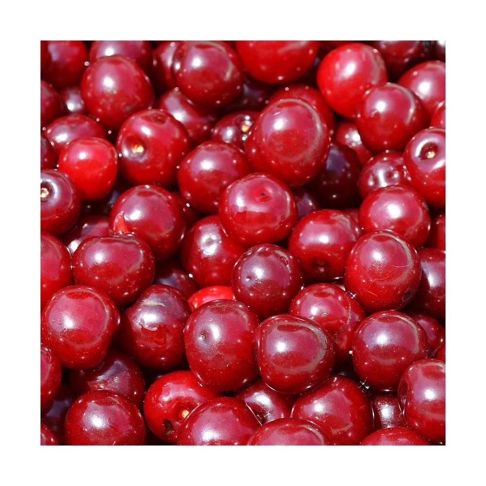 Cerise 