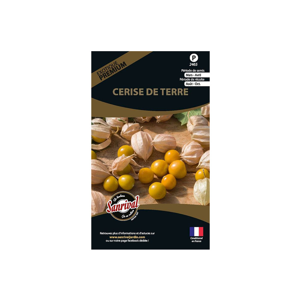 Graines potagères premium cerise de terre